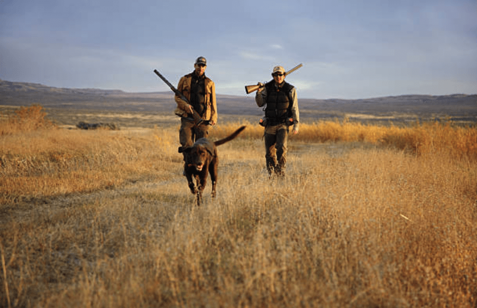 два охотника с ружьями идут на охоту с собакой